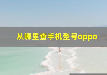 从哪里查手机型号oppo