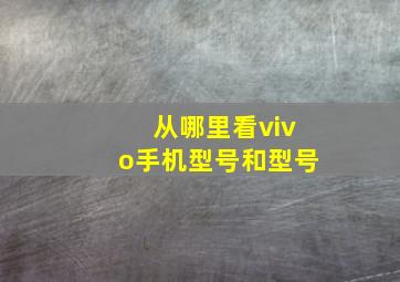 从哪里看vivo手机型号和型号