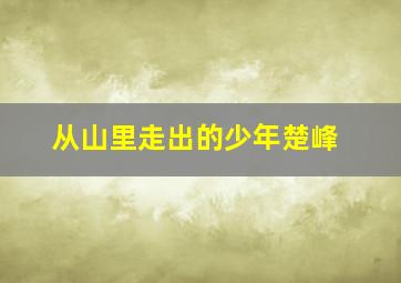 从山里走出的少年楚峰