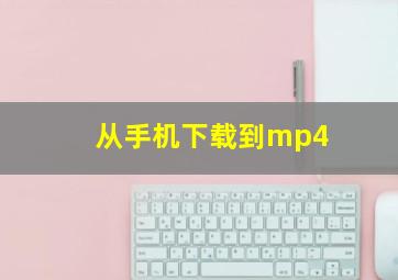 从手机下载到mp4