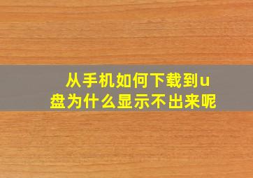 从手机如何下载到u盘为什么显示不出来呢