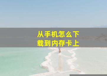 从手机怎么下载到内存卡上