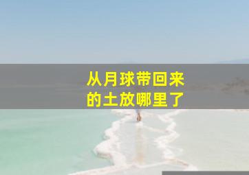 从月球带回来的土放哪里了