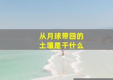 从月球带回的土壤是干什么