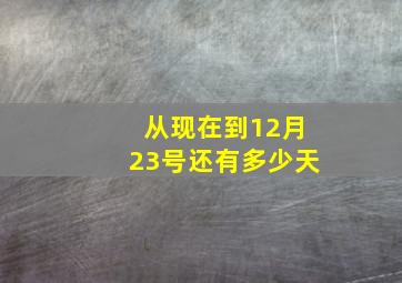 从现在到12月23号还有多少天