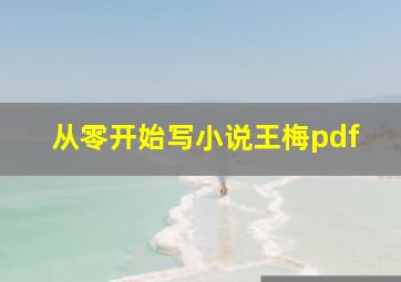 从零开始写小说王梅pdf