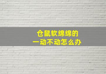 仓鼠软绵绵的一动不动怎么办