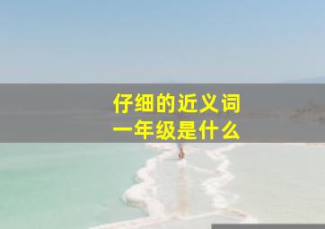 仔细的近义词一年级是什么