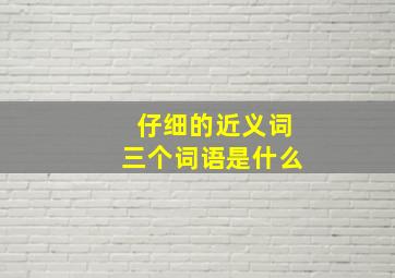 仔细的近义词三个词语是什么