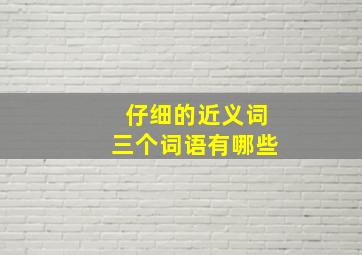 仔细的近义词三个词语有哪些