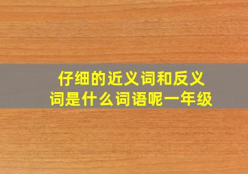 仔细的近义词和反义词是什么词语呢一年级