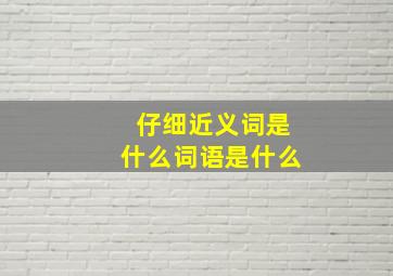 仔细近义词是什么词语是什么