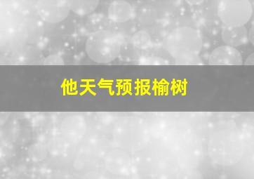 他天气预报榆树