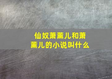 仙奴萧薰儿和萧薰儿的小说叫什么