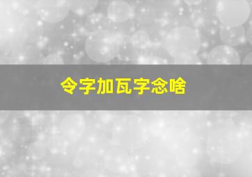 令字加瓦字念啥