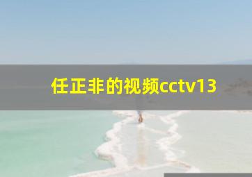 任正非的视频cctv13