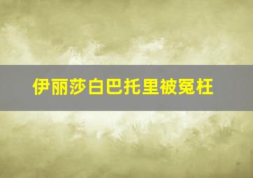 伊丽莎白巴托里被冤枉