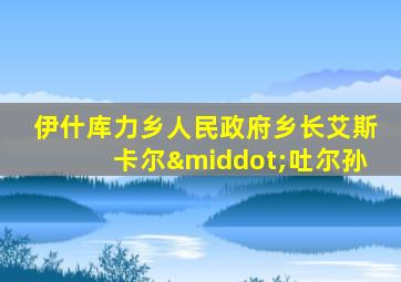 伊什库力乡人民政府乡长艾斯卡尔·吐尔孙