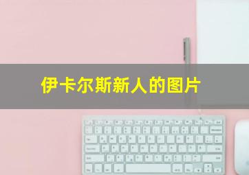 伊卡尔斯新人的图片