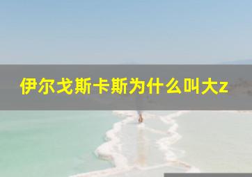 伊尔戈斯卡斯为什么叫大z