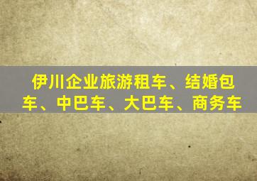 伊川企业旅游租车、结婚包车、中巴车、大巴车、商务车