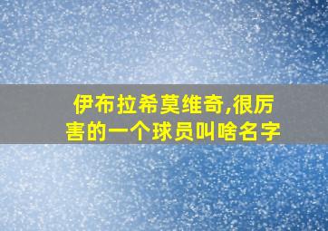 伊布拉希莫维奇,很厉害的一个球员叫啥名字