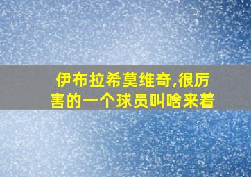 伊布拉希莫维奇,很厉害的一个球员叫啥来着