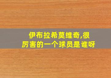 伊布拉希莫维奇,很厉害的一个球员是谁呀