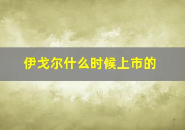 伊戈尔什么时候上市的