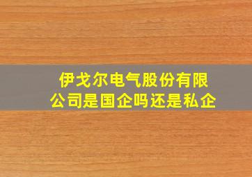 伊戈尔电气股份有限公司是国企吗还是私企