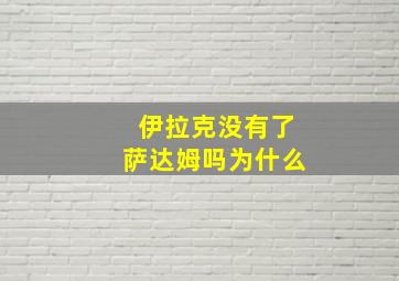 伊拉克没有了萨达姆吗为什么