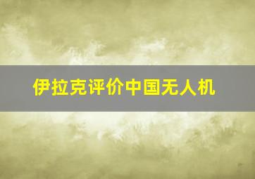 伊拉克评价中国无人机