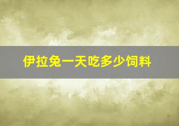 伊拉兔一天吃多少饲料