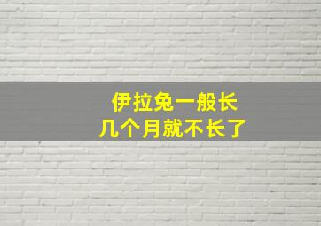 伊拉兔一般长几个月就不长了