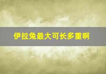 伊拉兔最大可长多重啊