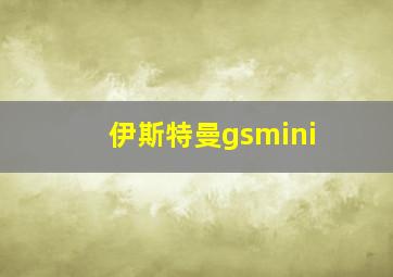 伊斯特曼gsmini