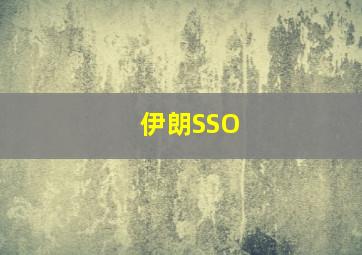 伊朗SSO