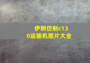 伊朗仿制c130运输机图片大全