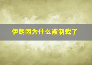 伊朗因为什么被制裁了