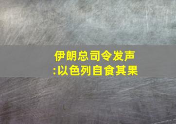 伊朗总司令发声:以色列自食其果