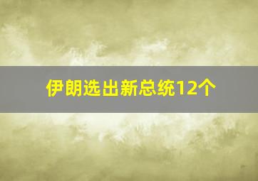 伊朗选出新总统12个