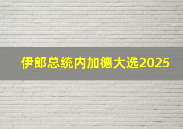 伊郎总统内加德大选2025