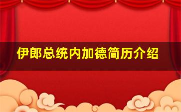 伊郎总统内加德简历介绍