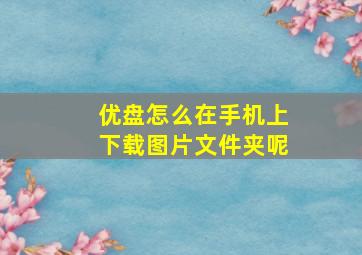 优盘怎么在手机上下载图片文件夹呢