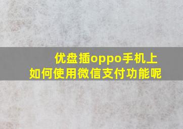 优盘插oppo手机上如何使用微信支付功能呢