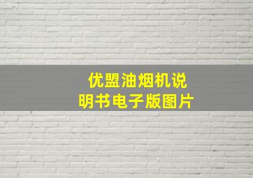 优盟油烟机说明书电子版图片