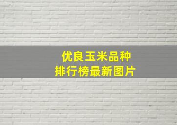 优良玉米品种排行榜最新图片