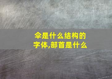 伞是什么结构的字体,部首是什么