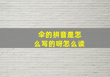 伞的拼音是怎么写的呀怎么读