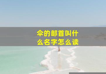 伞的部首叫什么名字怎么读